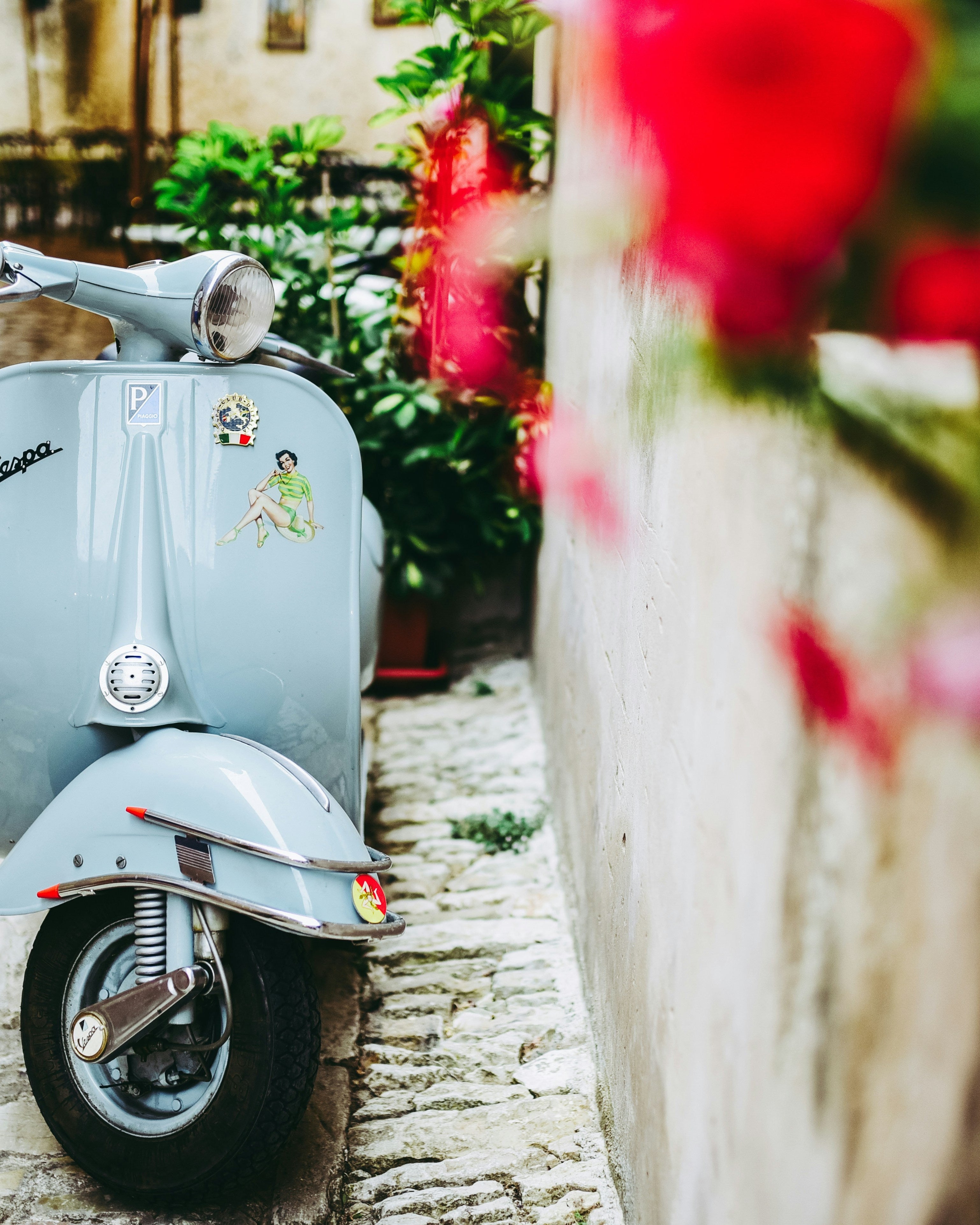 Tote & Shoulder Bags